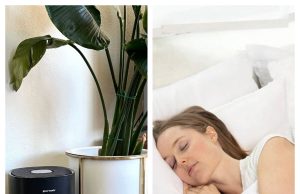 PuroAir Review: A Popular Air Purifier Brand Focused on Cleaner Indoor Air